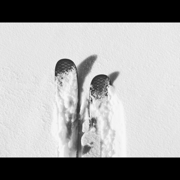 Meet your Posher, Tarynn - Picture 5 of 8